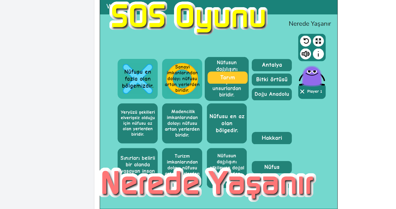 www.sosyalbilgiler.biz