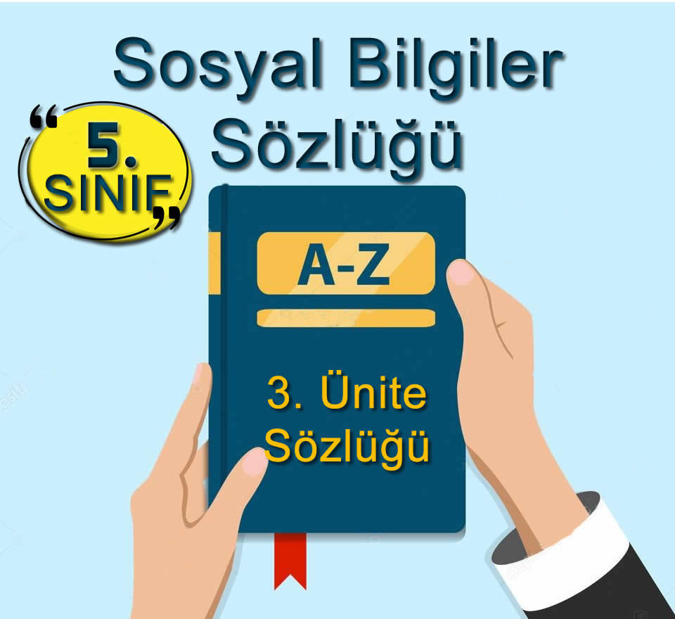 www.sosyalbilgiler.biz