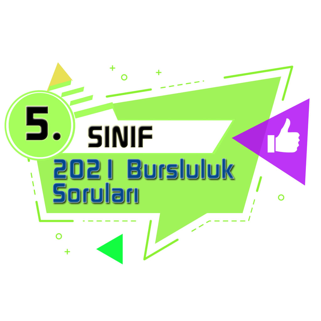 www.sosyalbilgiler.biz